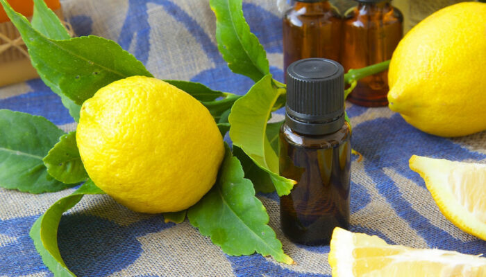 6 Essential Oils That Help Fight Dandruff